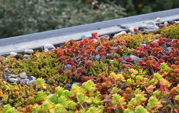 the cost of Sefster green roof installation