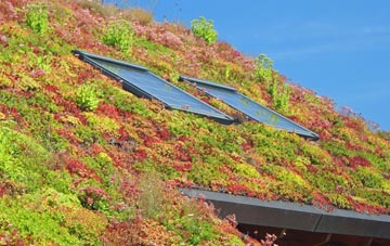 Sefster living roof systems